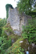 Reste der Hauptburg von Leienfels
